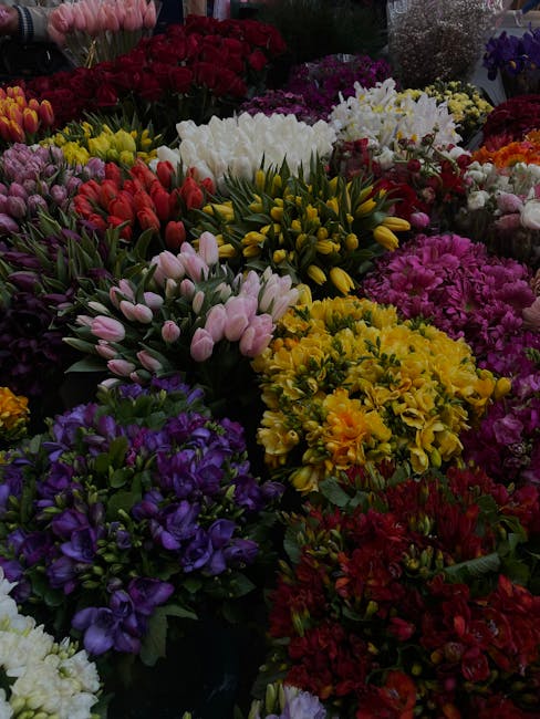 A vibrant assortment of fresh flowers arranged in bouquets, featuring pink tulips, purple lisianthus, yellow daisies, red and pink carnations, and white chrysanthemums. The flowers are tightly packed,