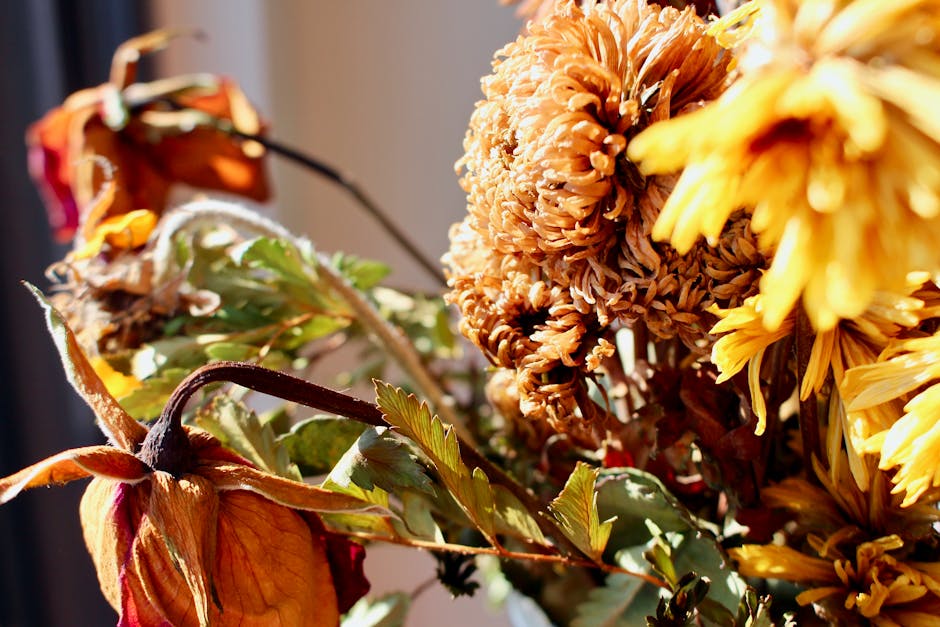 A close-up of a floral arrangement featuring a mix of dried and fading flowers, including a large brownish-orange chrysanthemum with tightly packed petals, complemented by yellow and orange chrysanthe